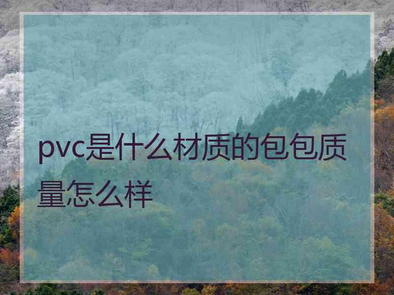 pvc是什么材质的包包质量怎么样