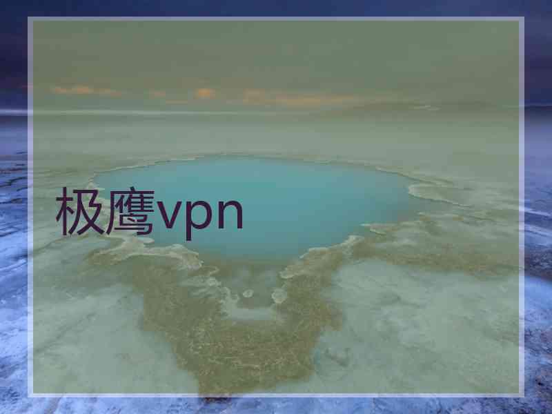 极鹰vpn