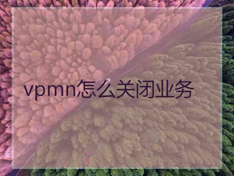 vpmn怎么关闭业务