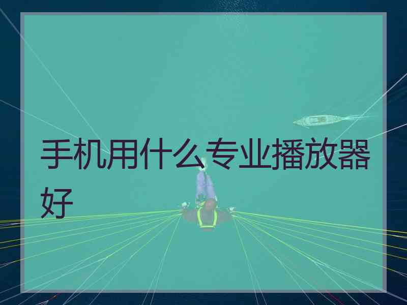 手机用什么专业播放器好