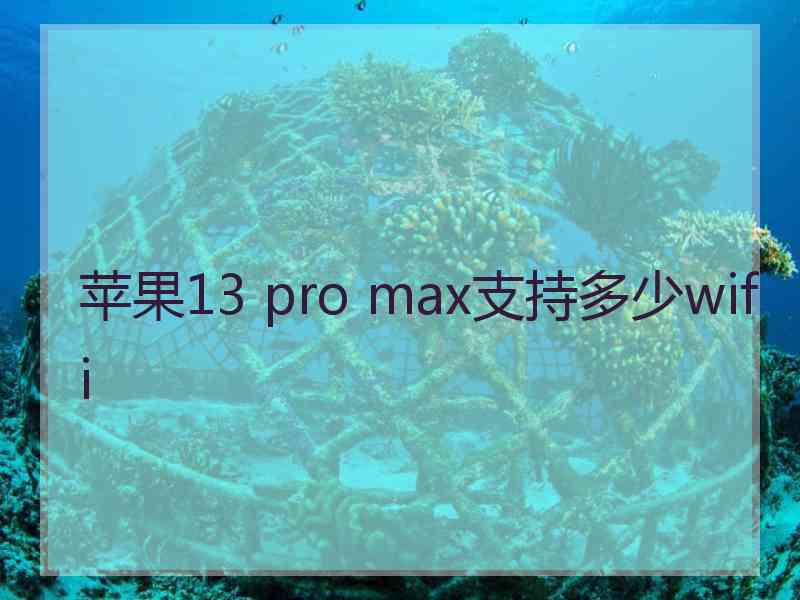 苹果13 pro max支持多少wifi