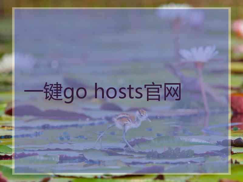 一键go hosts官网