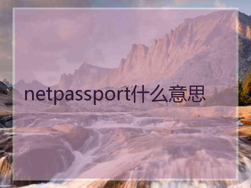 netpassport什么意思