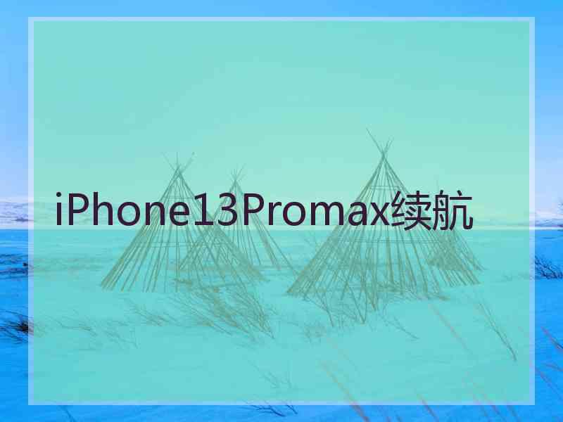 iPhone13Promax续航