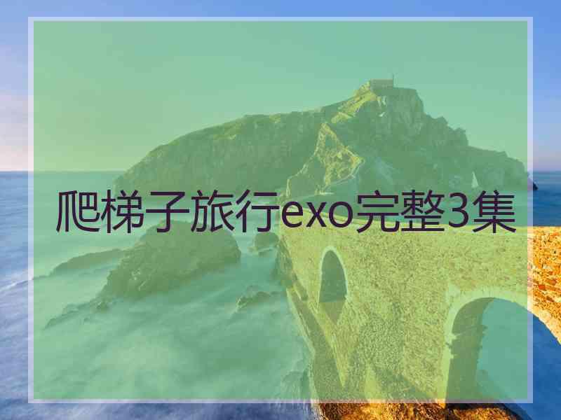 爬梯子旅行exo完整3集