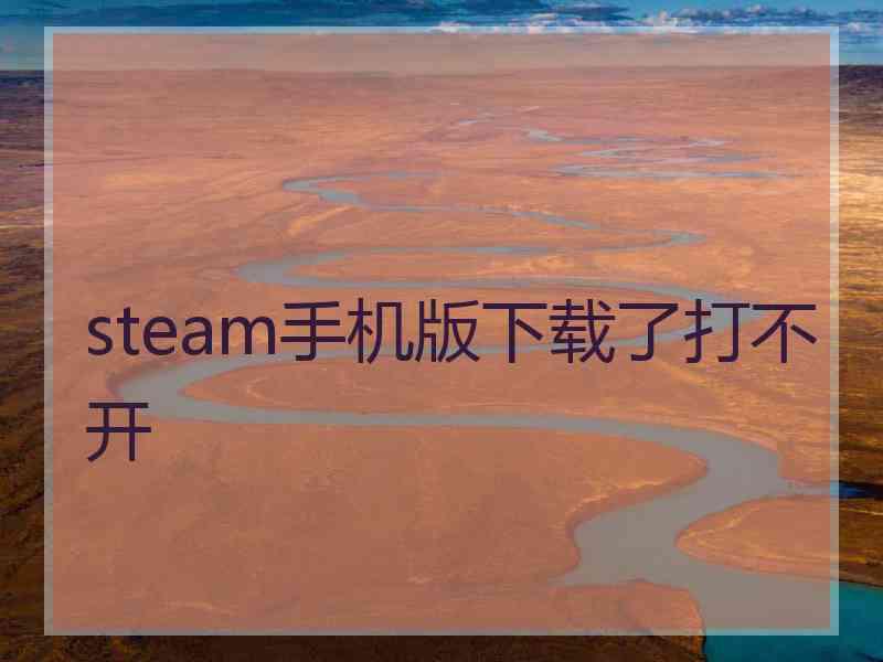 steam手机版下载了打不开