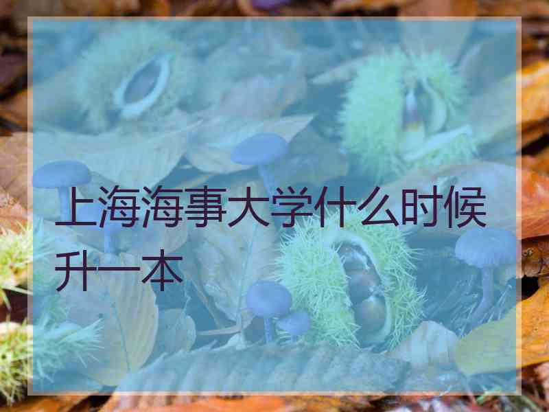 上海海事大学什么时候升一本