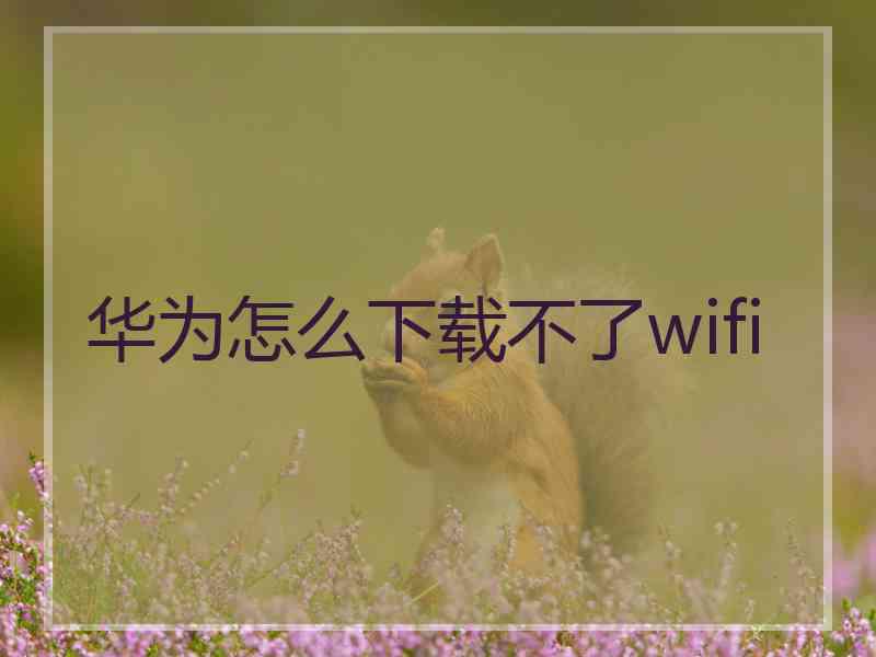 华为怎么下载不了wifi