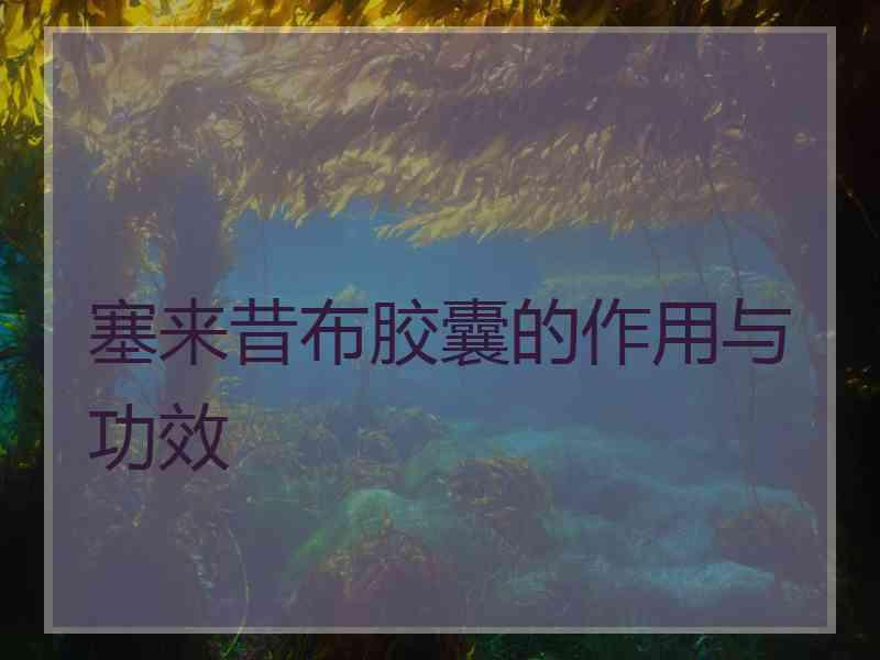 塞来昔布胶囊的作用与功效