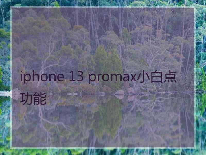 iphone 13 promax小白点功能