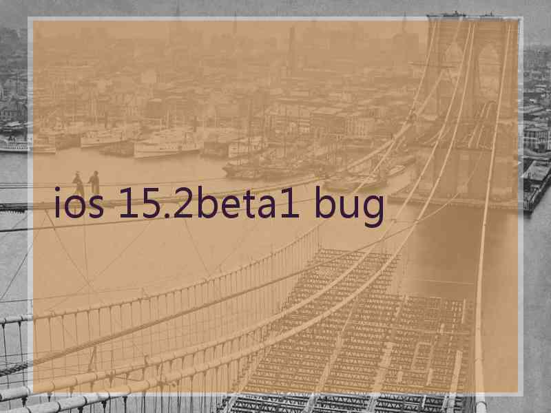 ios 15.2beta1 bug