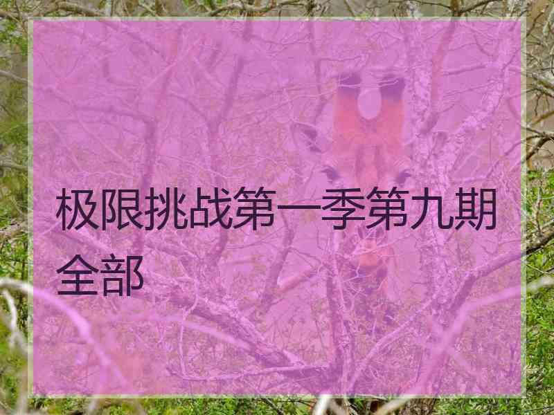 极限挑战第一季第九期全部