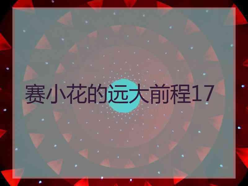 赛小花的远大前程17