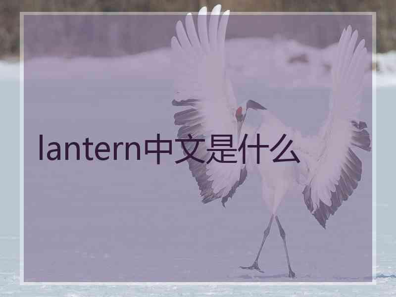 lantern中文是什么