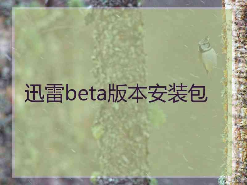 迅雷beta版本安装包