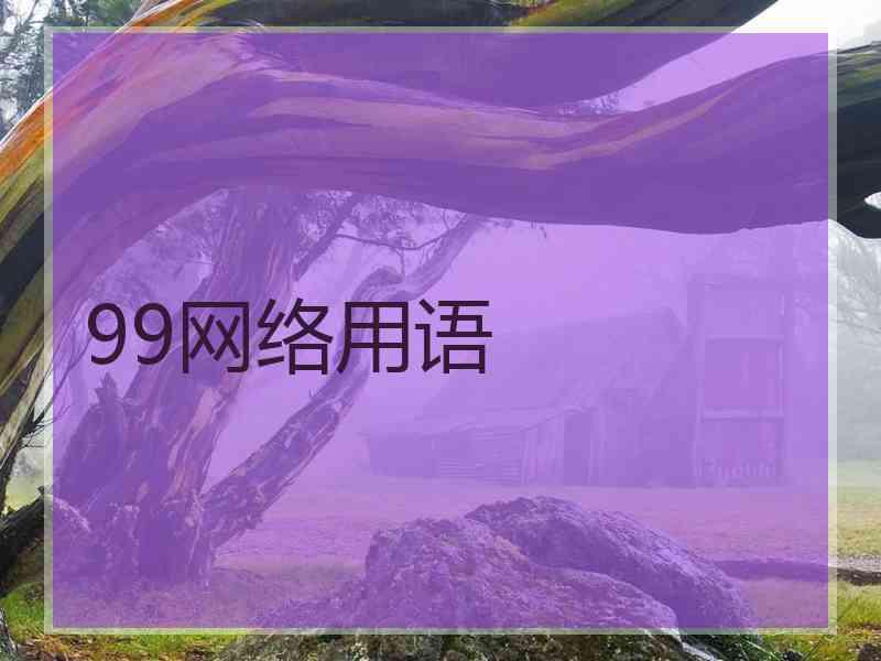 99网络用语