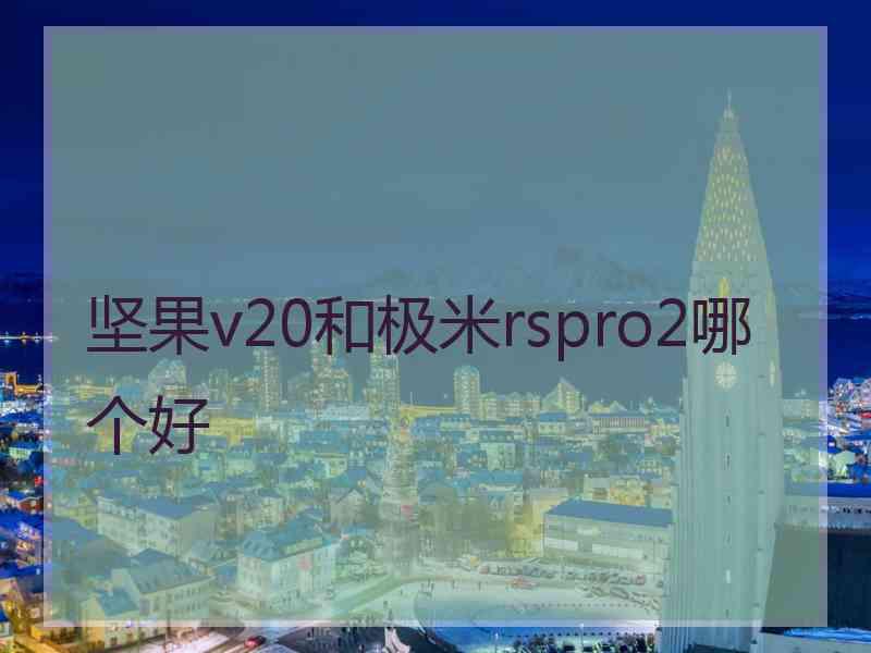 坚果v20和极米rspro2哪个好