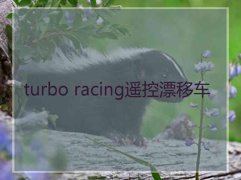 turbo racing遥控漂移车