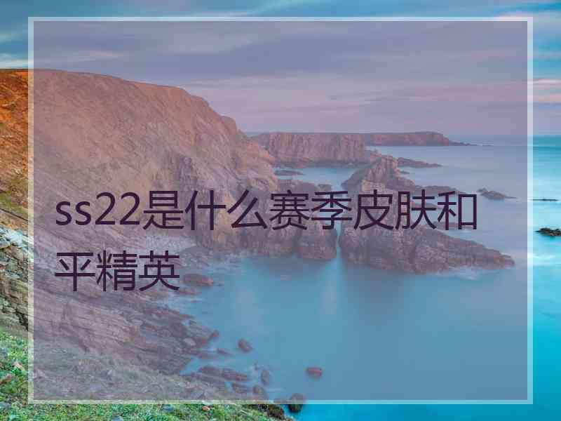 ss22是什么赛季皮肤和平精英