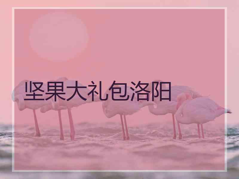 坚果大礼包洛阳