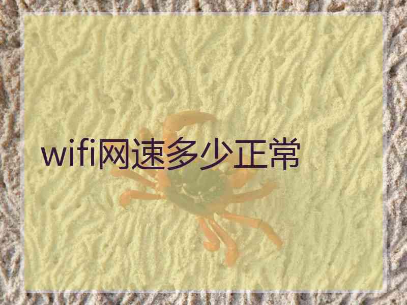 wifi网速多少正常