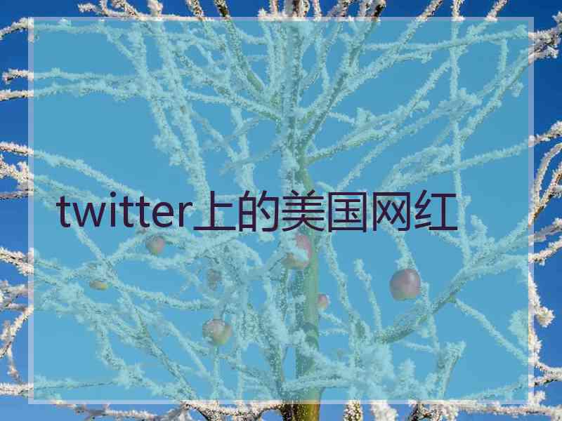 twitter上的美国网红