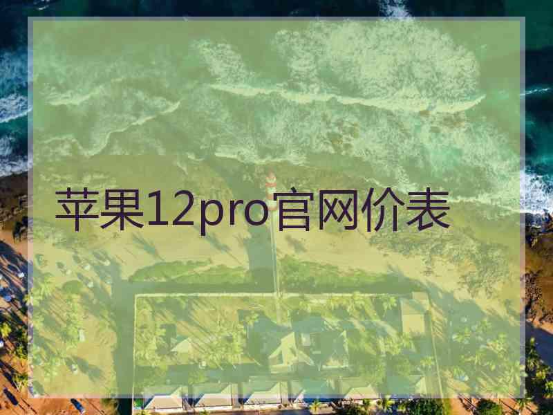 苹果12pro官网价表