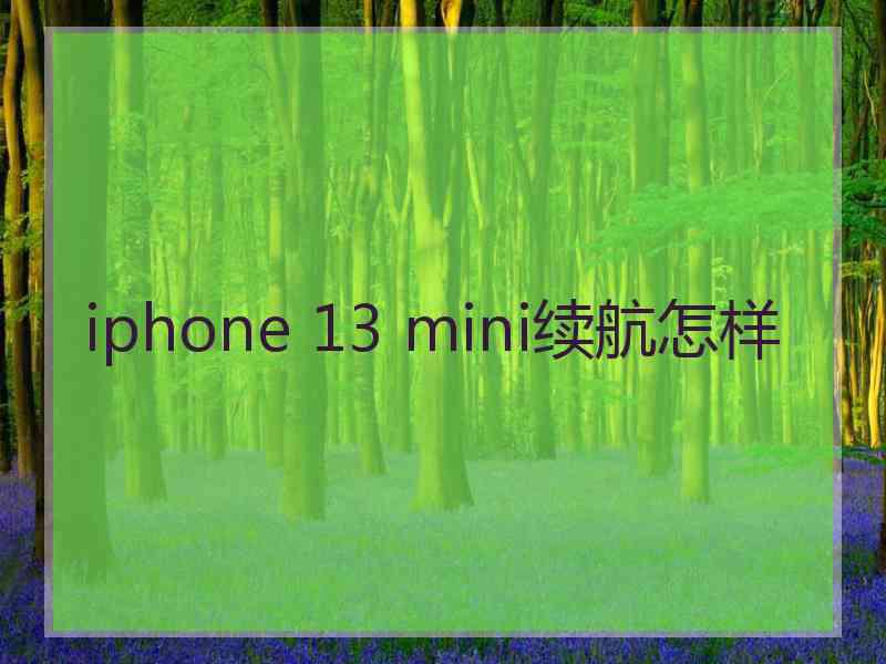 iphone 13 mini续航怎样