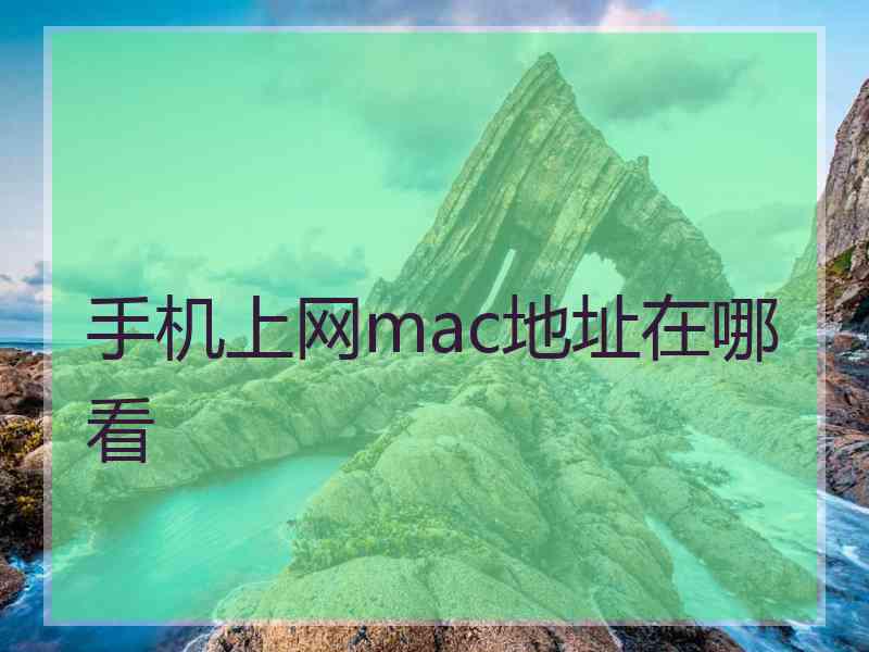 手机上网mac地址在哪看