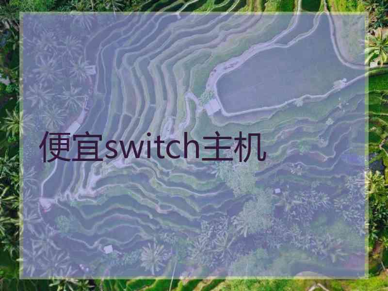 便宜switch主机