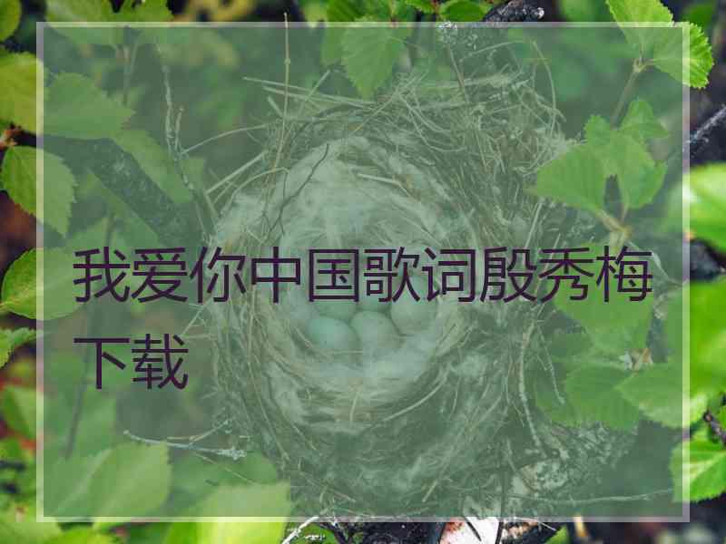 我爱你中国歌词殷秀梅下载