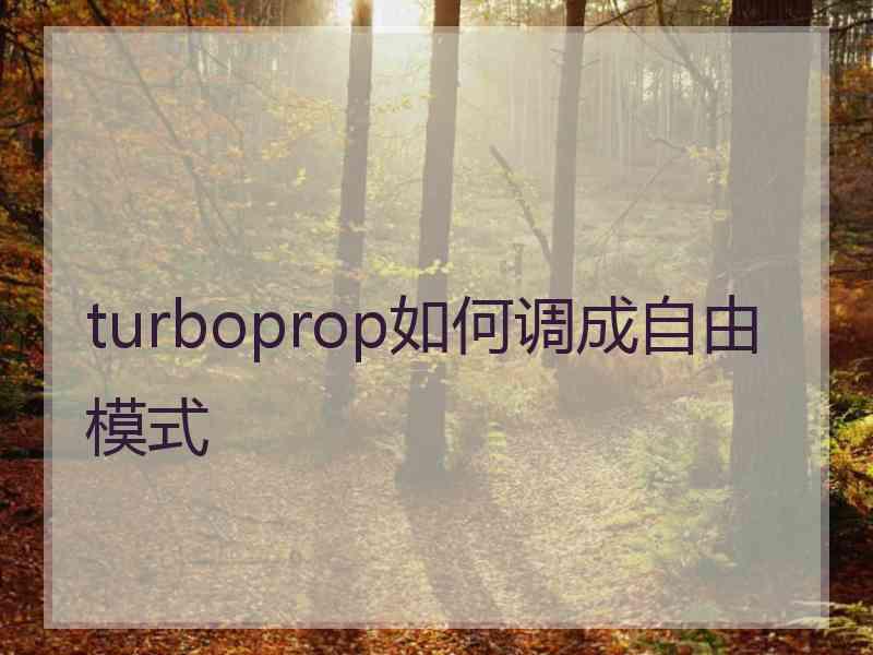 turboprop如何调成自由模式