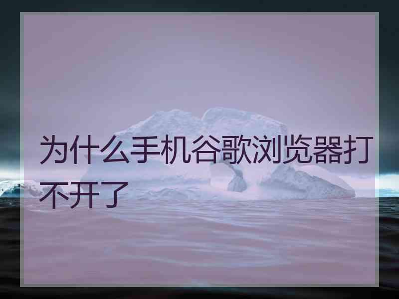 为什么手机谷歌浏览器打不开了