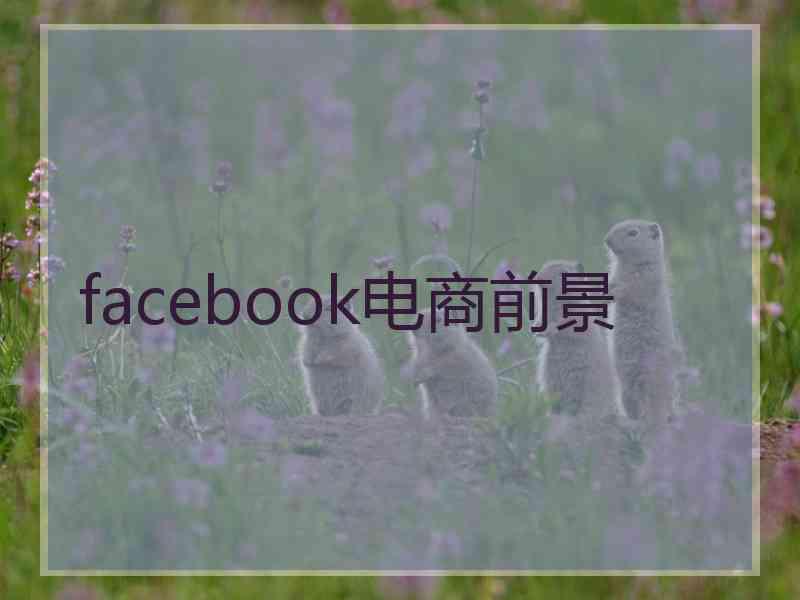 facebook电商前景