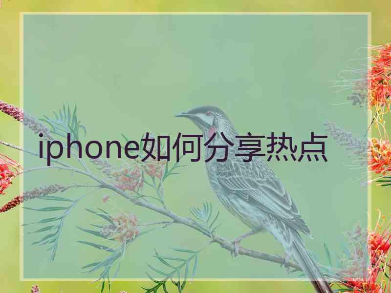 iphone如何分享热点