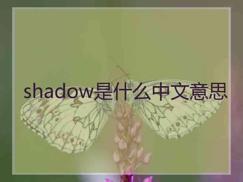 shadow是什么中文意思