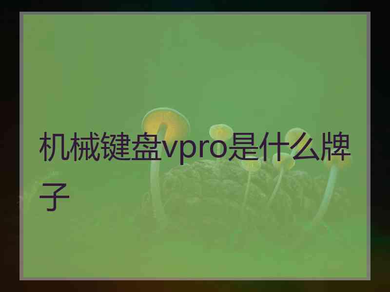 机械键盘vpro是什么牌子