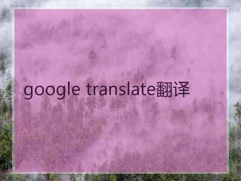 google translate翻译