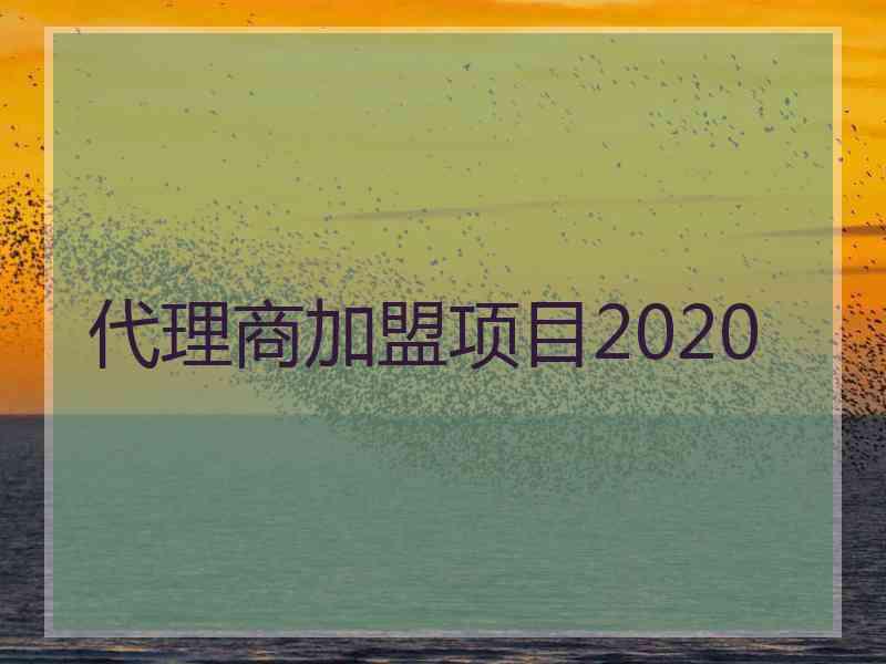 代理商加盟项目2020