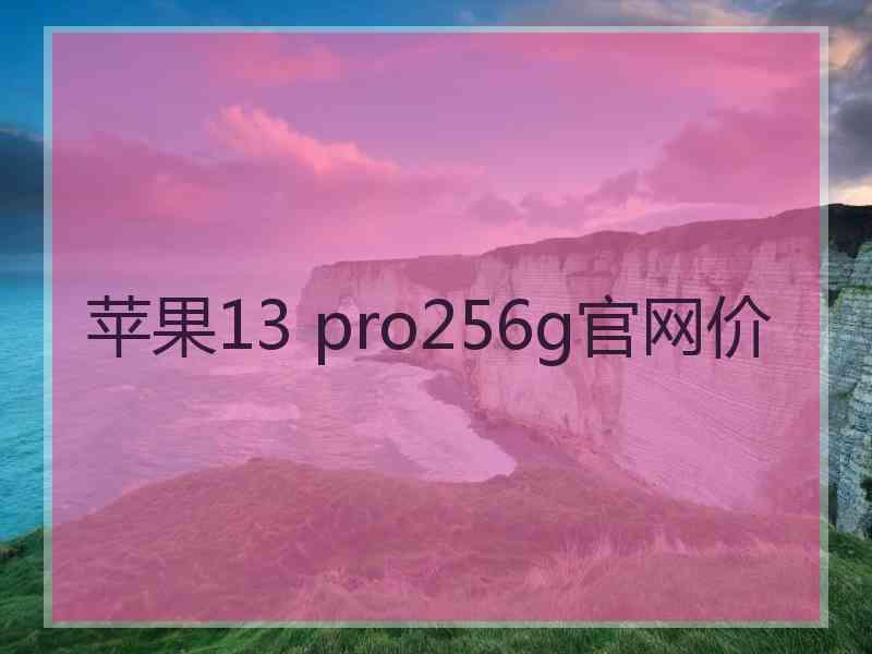 苹果13 pro256g官网价