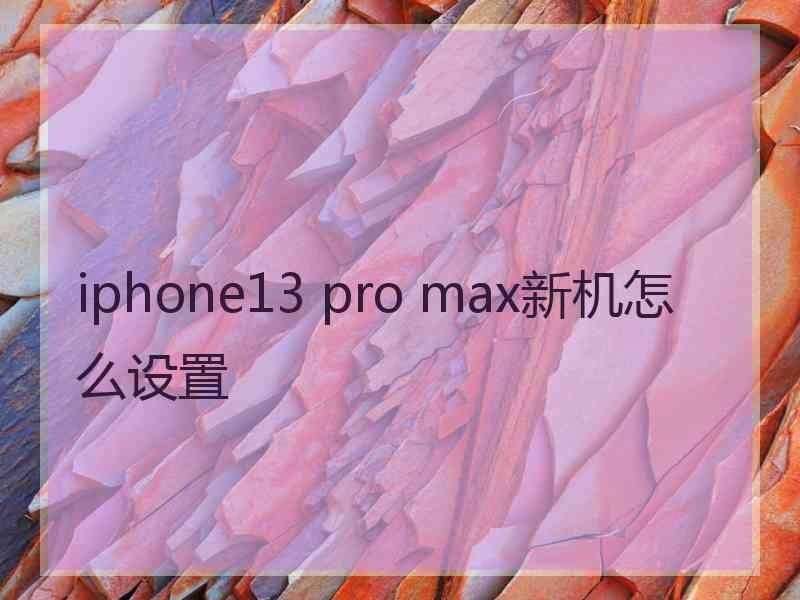 iphone13 pro max新机怎么设置