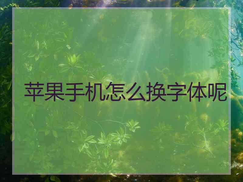 苹果手机怎么换字体呢