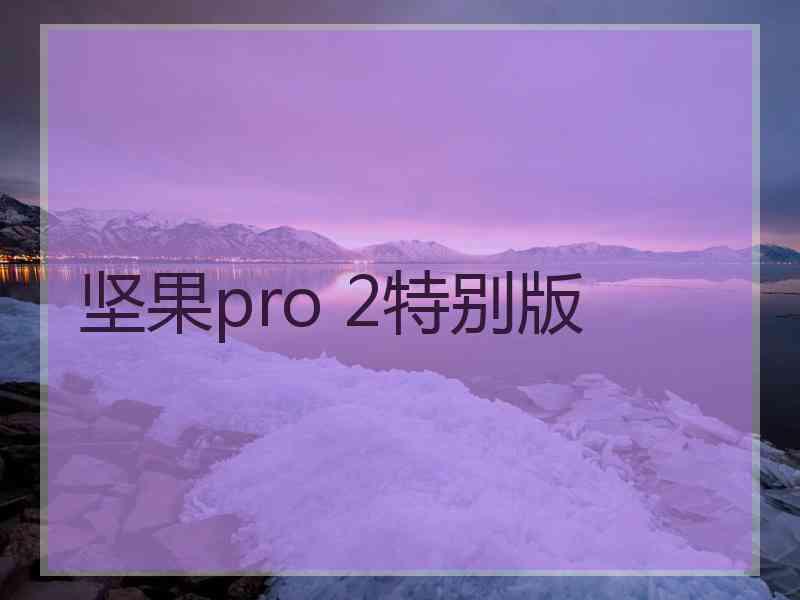 坚果pro 2特别版