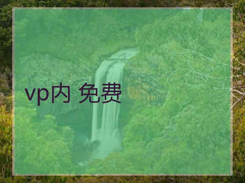 vp内 免费