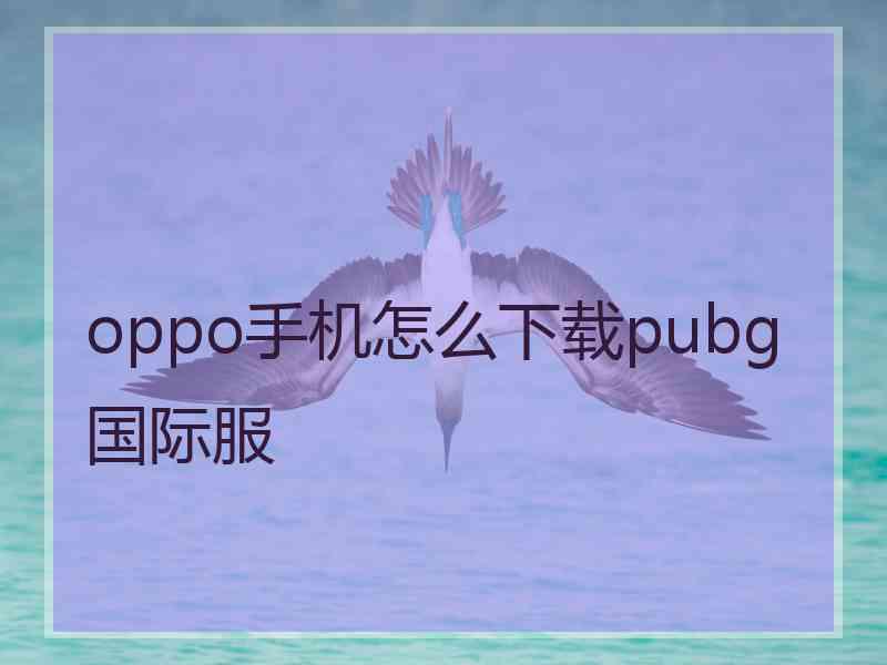 oppo手机怎么下载pubg国际服