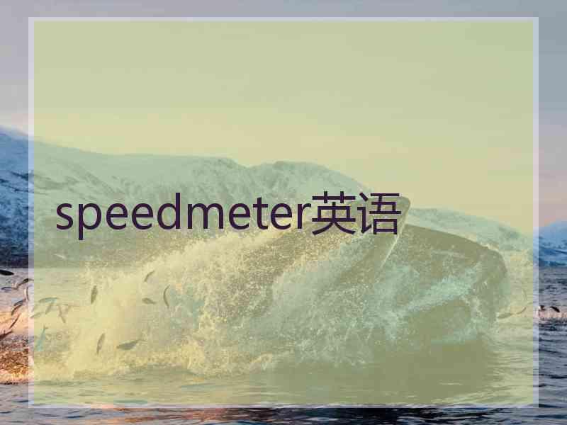 speedmeter英语