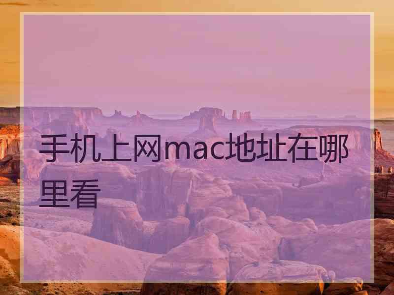 手机上网mac地址在哪里看