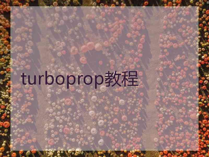 turboprop教程