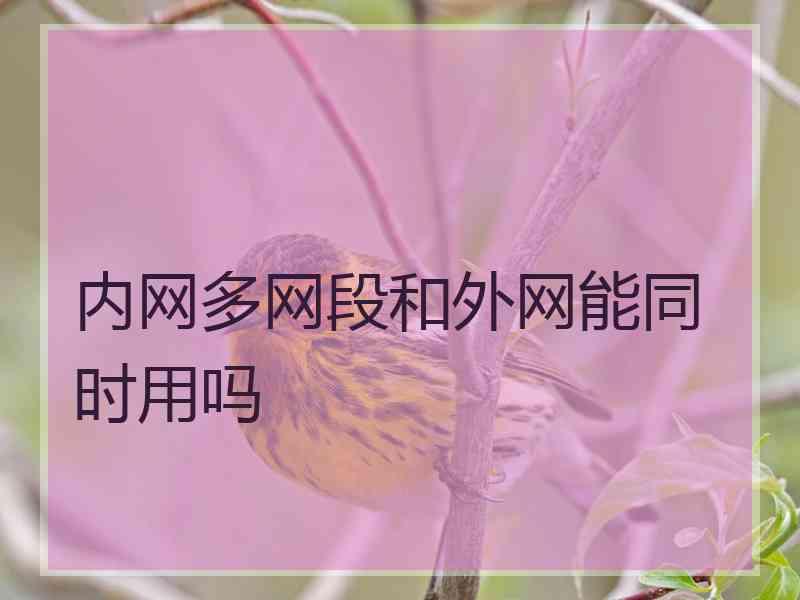 内网多网段和外网能同时用吗