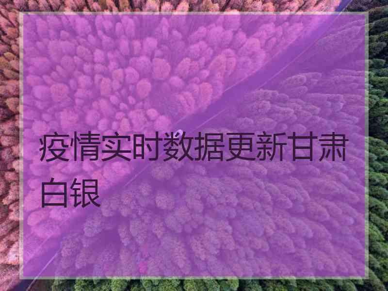 疫情实时数据更新甘肃白银